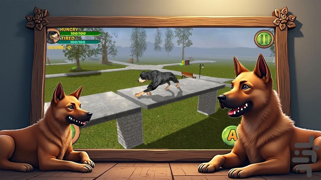 سگ بازی - Gameplay image of android game