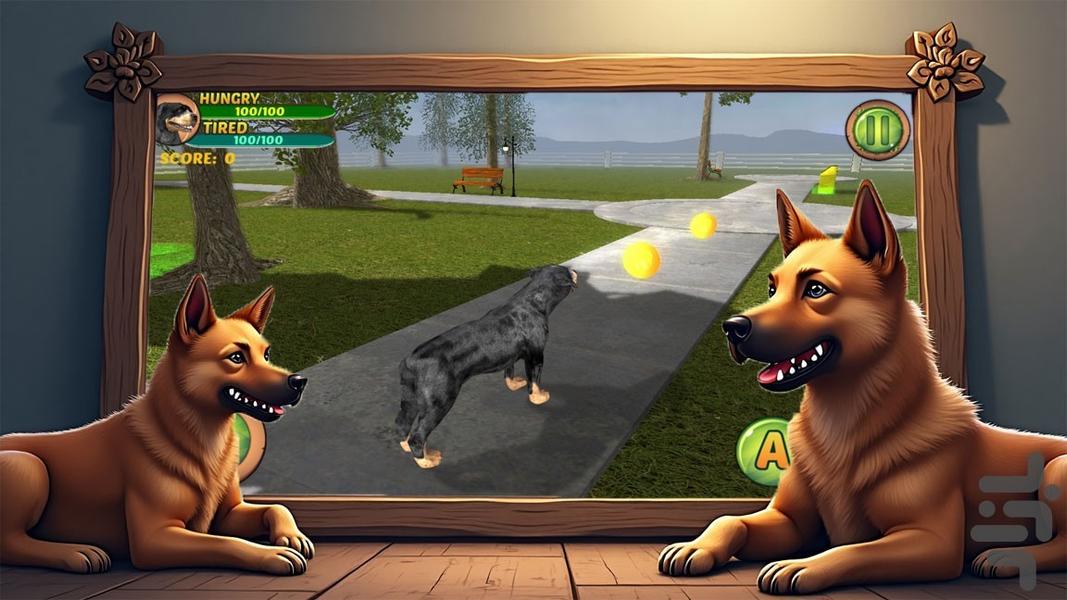 سگ بازی - Gameplay image of android game