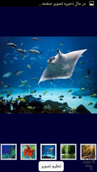 والپیپر شو(از همه چی رایگان) - عکس برنامه موبایلی اندروید