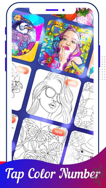 Color Number Zen 2024 - Gameplay image of android game