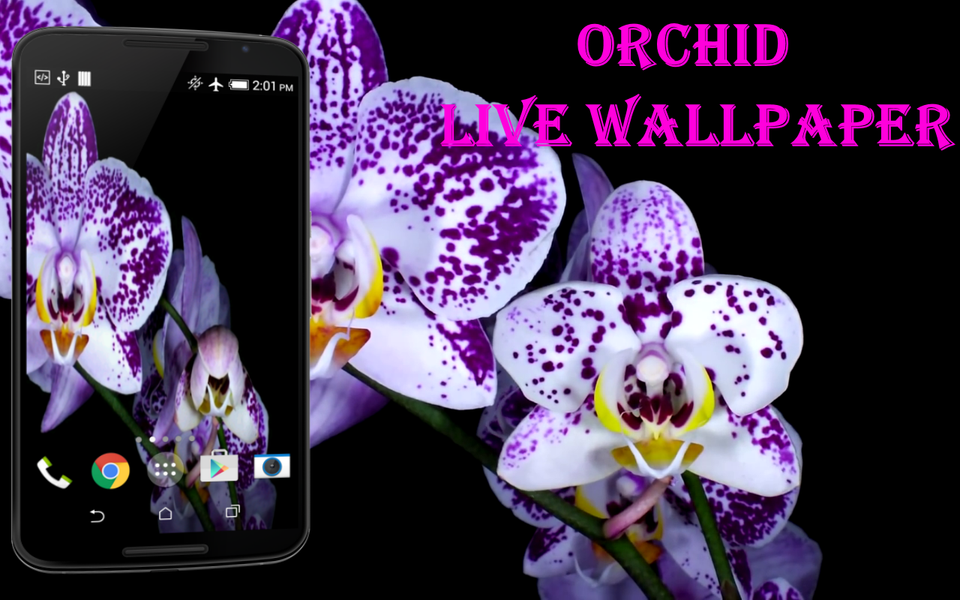 Orchid Video Live Wallpaper - Image screenshot of android app