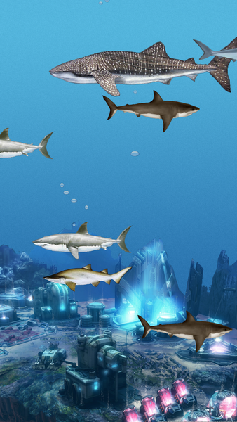 Abubu ocean live wallpaper - عکس برنامه موبایلی اندروید