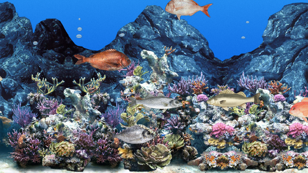 Abubu ocean live wallpaper - عکس برنامه موبایلی اندروید