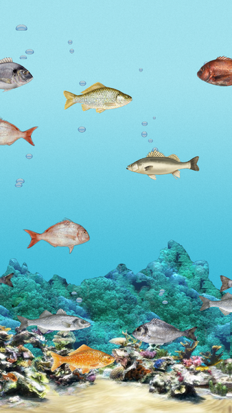 Abubu ocean live wallpaper - عکس برنامه موبایلی اندروید
