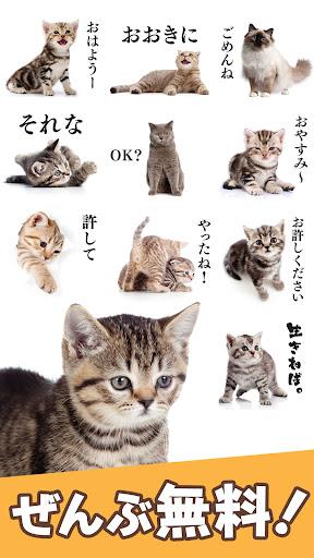 Cat Stickers - Image screenshot of android app