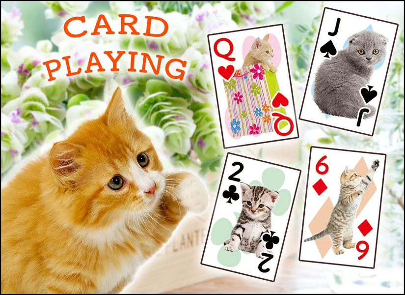 Cats Playing Card Games - Gameplay image of android game