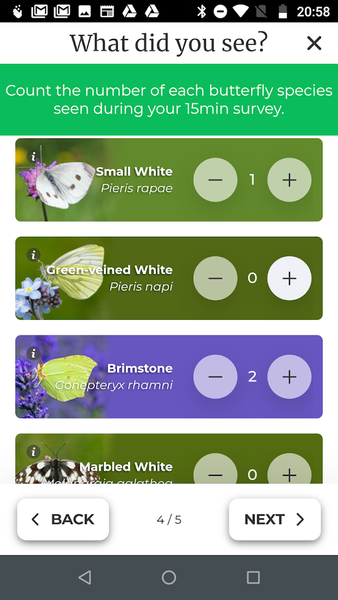 Big Butterfly Count - Image screenshot of android app