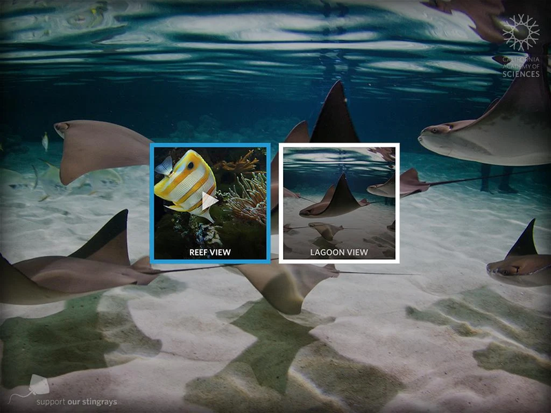 Stingrays Live - عکس برنامه موبایلی اندروید