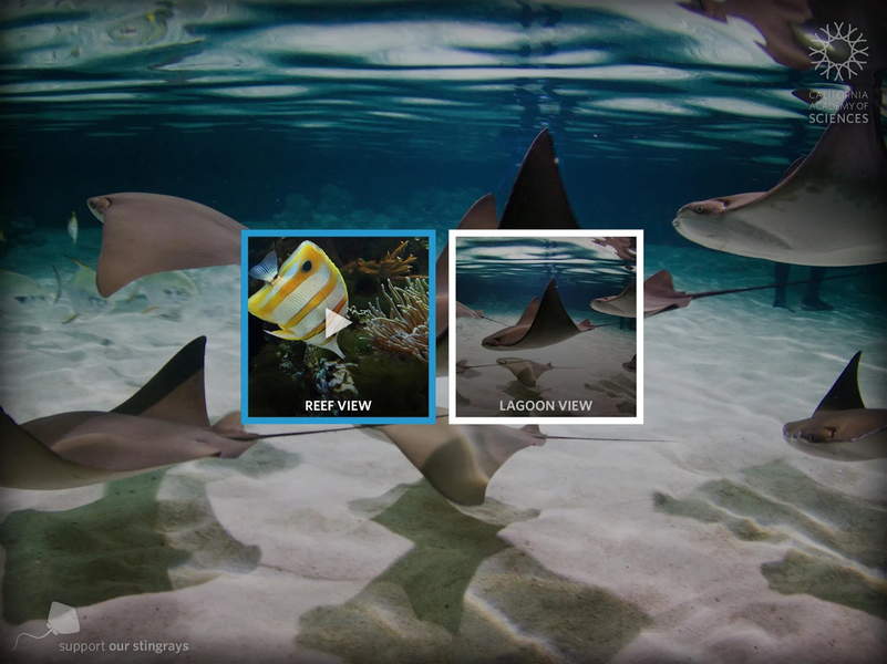Stingrays Live - عکس برنامه موبایلی اندروید