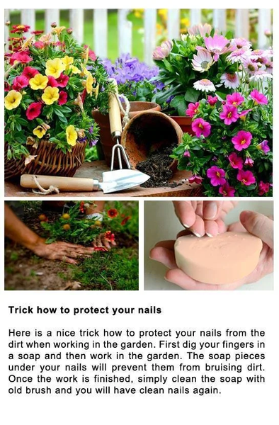 DIY Gardening Tips - Image screenshot of android app