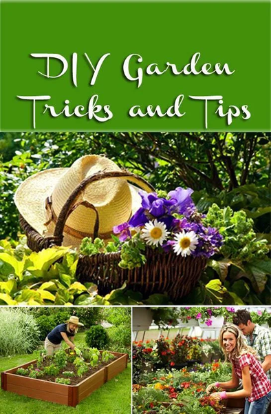 DIY Gardening Tips - Image screenshot of android app