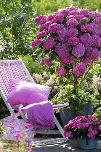 Garden Design Ideas - Image screenshot of android app
