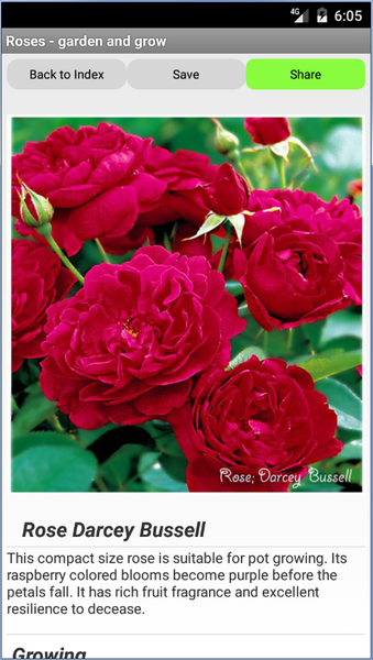 Roses - garden and grow - Image screenshot of android app