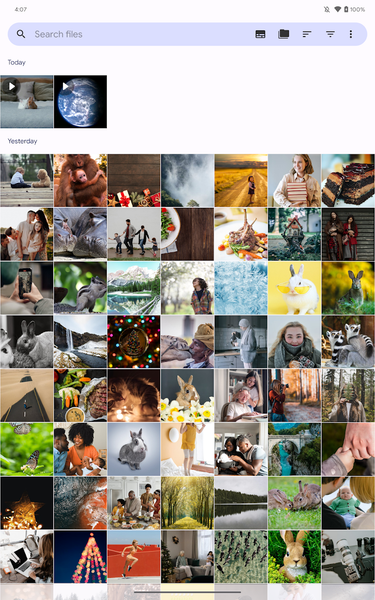 Fossify Gallery - Image screenshot of android app