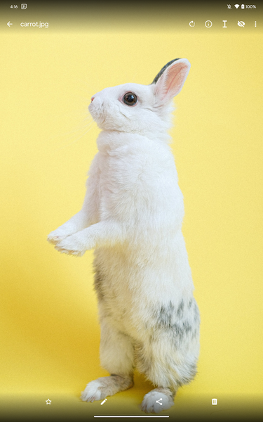 Fossify Gallery - Image screenshot of android app