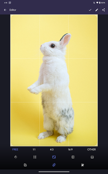 Fossify Gallery - Image screenshot of android app