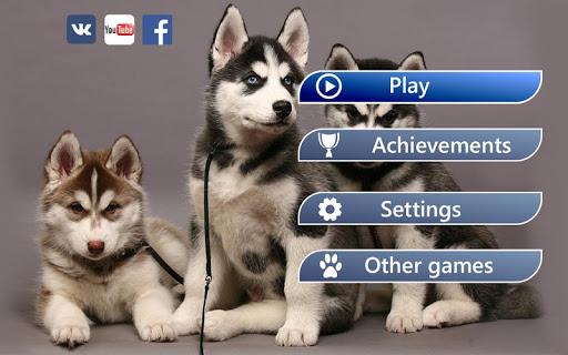 Find a Dog - Hidden Object - Gameplay image of android game