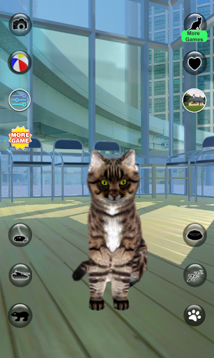 Talking Reality Cat - Gameplay image of android game