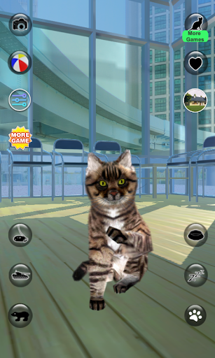 Talking Reality Cat - Gameplay image of android game