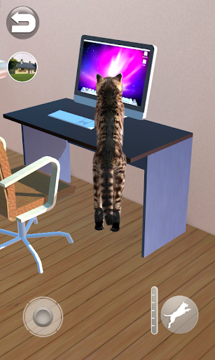 Talking Reality Cat - عکس بازی موبایلی اندروید