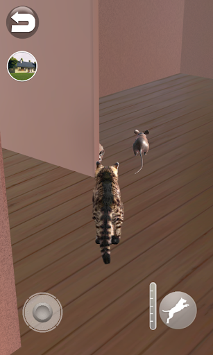 Talking Reality Cat - عکس بازی موبایلی اندروید