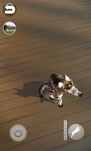 Talking Reality Cat - عکس بازی موبایلی اندروید