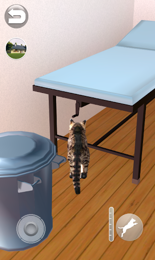 Talking Reality Cat - عکس بازی موبایلی اندروید