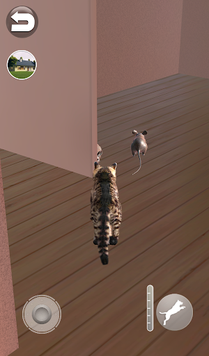 Talking Reality Cat - عکس بازی موبایلی اندروید