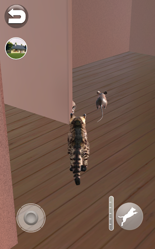 Talking Reality Cat - عکس بازی موبایلی اندروید