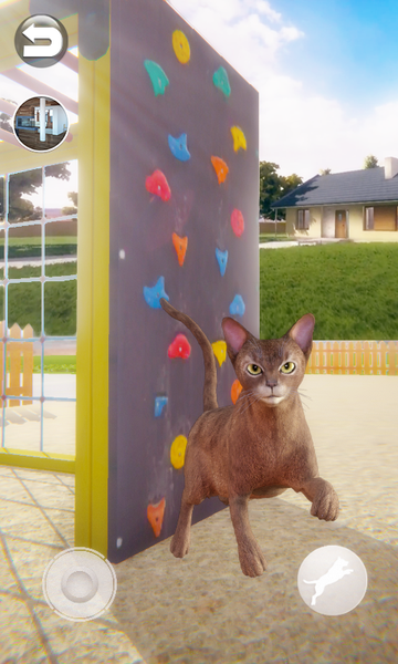 Talking Abyssinian Cat - Gameplay image of android game