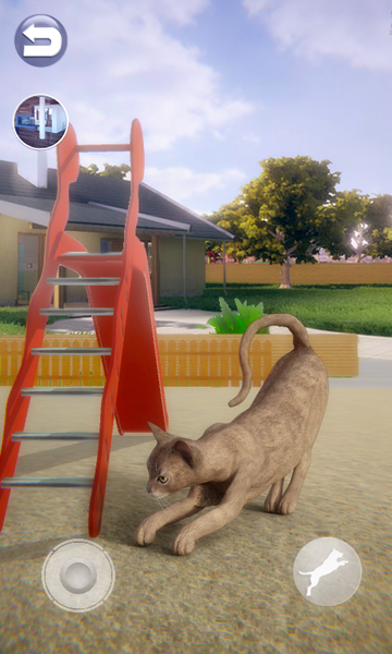Talking Abyssinian Cat - Gameplay image of android game