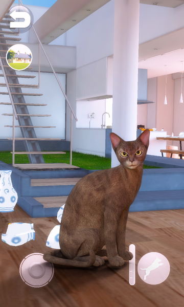 Talking Abyssinian Cat - Gameplay image of android game