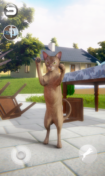 Talking Abyssinian Cat - Gameplay image of android game