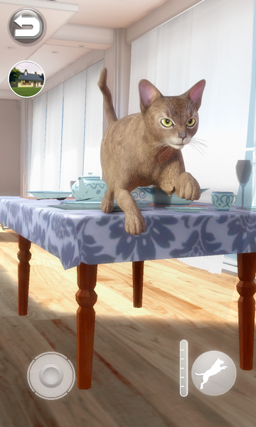 Talking Abyssinian Cat - Gameplay image of android game