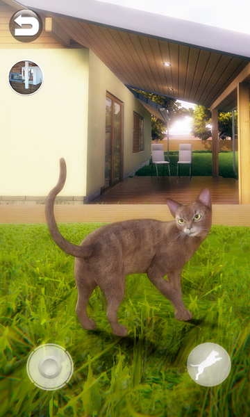 Talking Abyssinian Cat - Gameplay image of android game