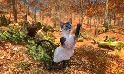 Talking Blue Siamese Cat - عکس بازی موبایلی اندروید