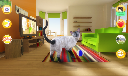 Talking Blue Siamese Cat - عکس بازی موبایلی اندروید