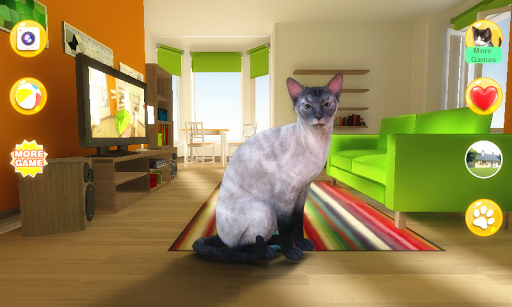 Talking Blue Siamese Cat - عکس بازی موبایلی اندروید