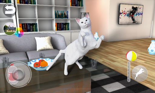 Talking Burmese Cat - عکس بازی موبایلی اندروید