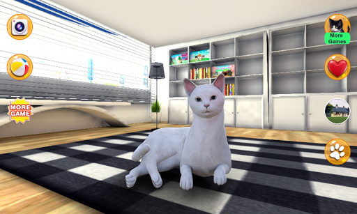 Talking Burmese Cat - عکس بازی موبایلی اندروید