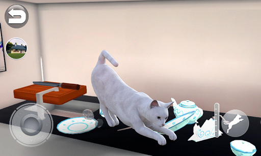 Talking Burmese Cat - عکس بازی موبایلی اندروید