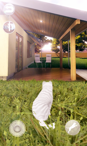 Talking Cute Cat - Gameplay image of android game