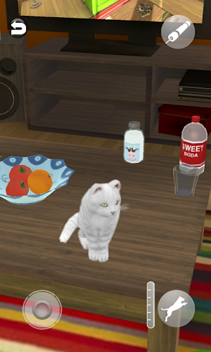 Talking Cute Cat - Gameplay image of android game