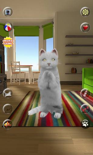 Talking Cute Cat - Gameplay image of android game