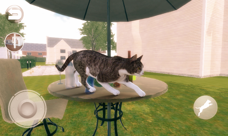 Talking Devon Rex - عکس بازی موبایلی اندروید