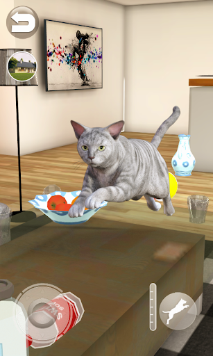 Talking Tabby Cat - Gameplay image of android game