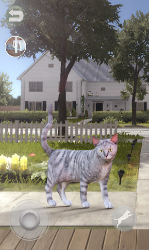 Talking Tabby Cat - Gameplay image of android game