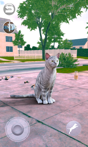 Talking Tabby Cat - Gameplay image of android game