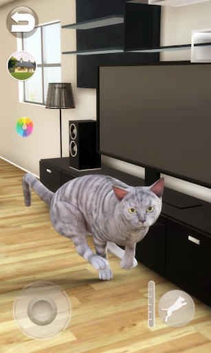 Talking Tabby Cat - Gameplay image of android game