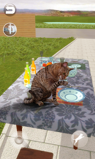 Talking Somali Cat - Gameplay image of android game